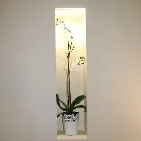 Alojamento de Acomodação e Pequeno-almoço Del Corso